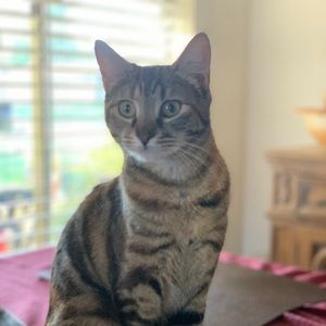 Meet your Posher, Sonya